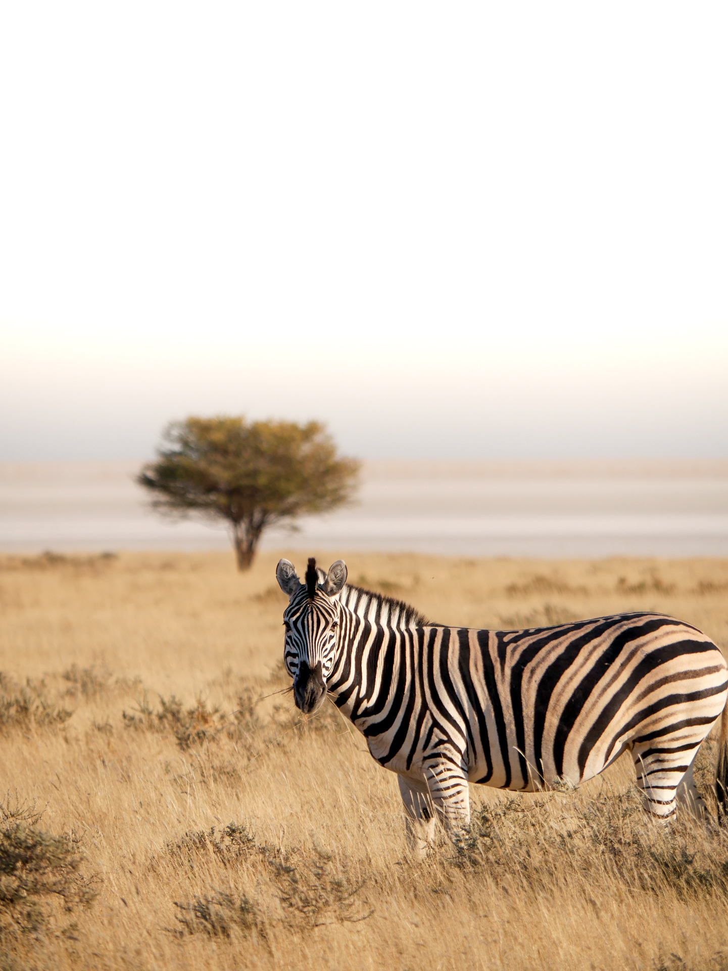 Kenya